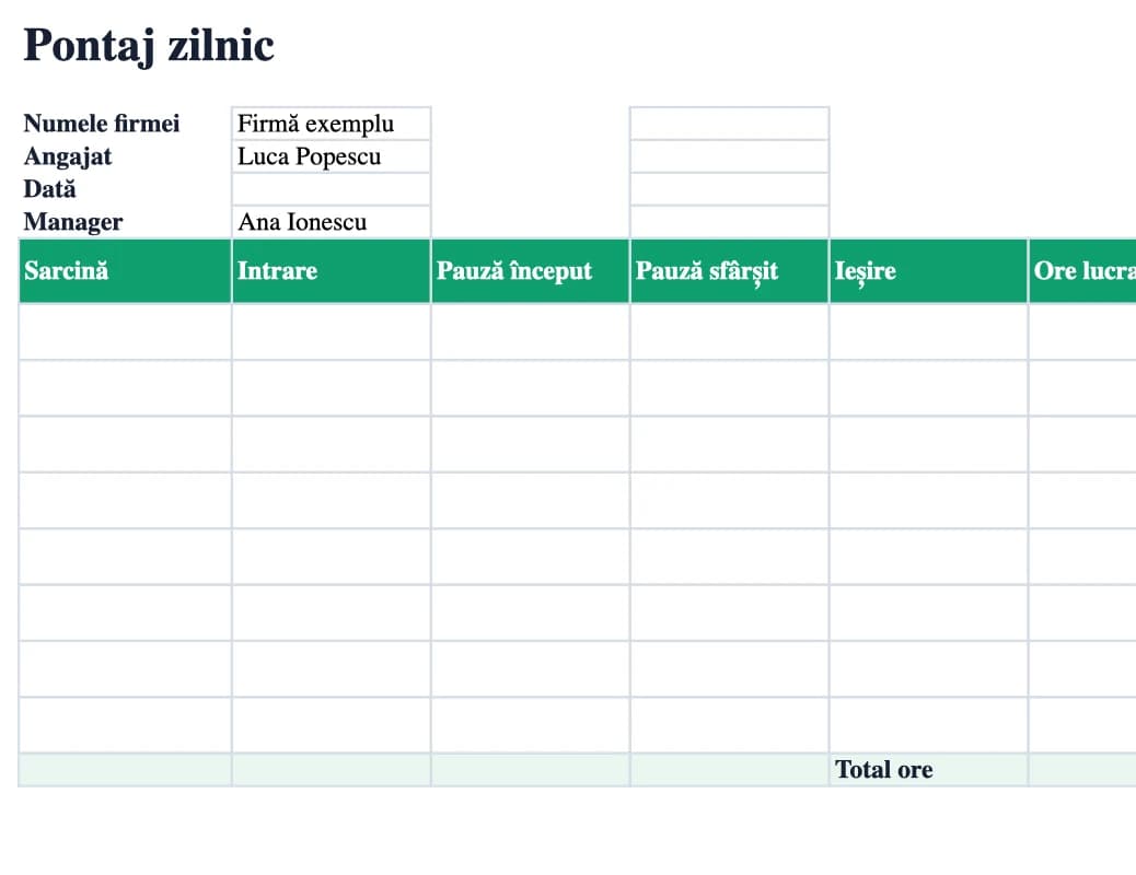 Previzualizare Excel: Pontaj zilnic