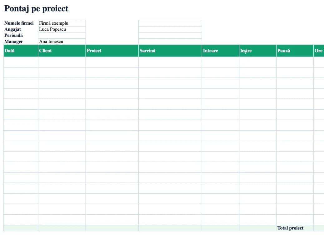 Previzualizare Excel: Pontaj pe proiect