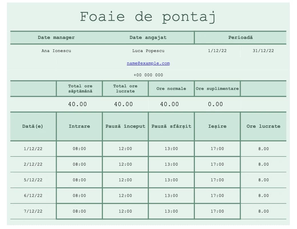 Previzualizare raport Excel de ore pe proiecte și sarcini